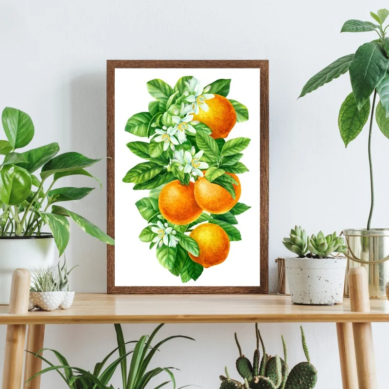 Poster branches d'oranger en aquarelle – Wallnifity® Poster branches d'oranger en aquarelle – Wallnifity®