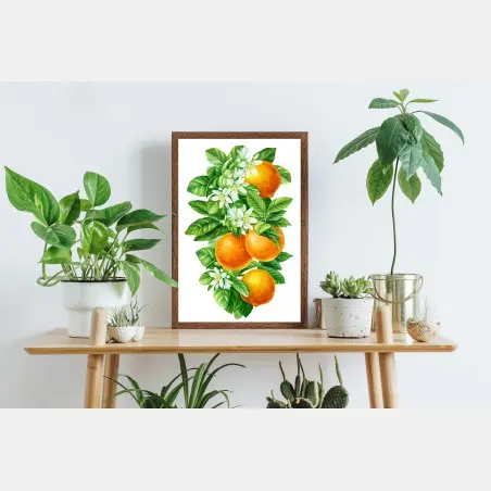 Poster branches d'oranger en aquarelle – Wallnifity®