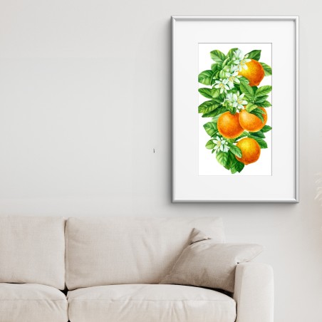 Poster branches d'oranger en aquarelle – Wallnifity®