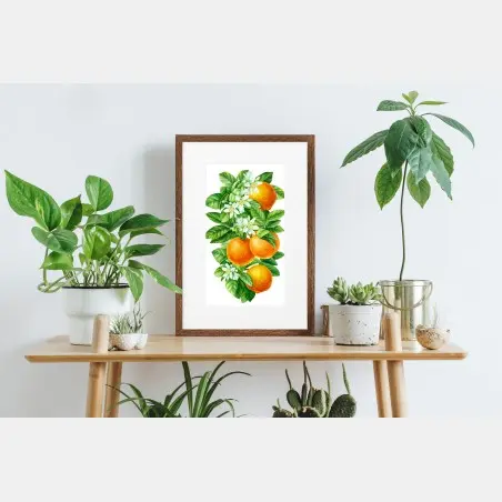 Poster branches d'oranger en aquarelle – Wallnifity®