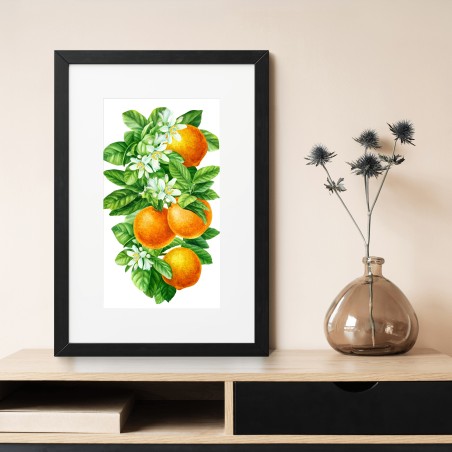 Poster branches d'oranger en aquarelle – Wallnifity®